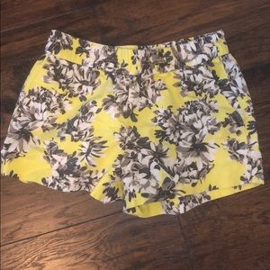 J Crew womens shorts